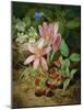 Autumn Flower with Blackberries-Josef Lauer-Mounted Giclee Print