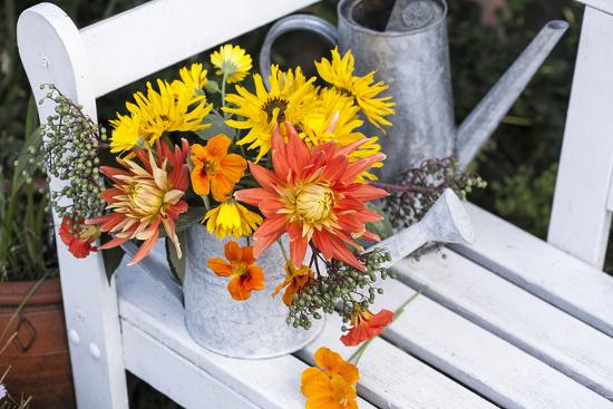 Autumn Flowers On Garden Bench Photographic Print Andrea Haase Art Com Autumn Flowers On Garden Bench Photographic Print Andrea Haase Art Com