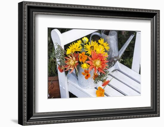 Autumn Flowers on Garden Bench-Andrea Haase-Framed Photographic Print
