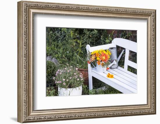 Autumn Flowers on Garden Bench-Andrea Haase-Framed Photographic Print