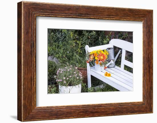 Autumn Flowers on Garden Bench-Andrea Haase-Framed Photographic Print