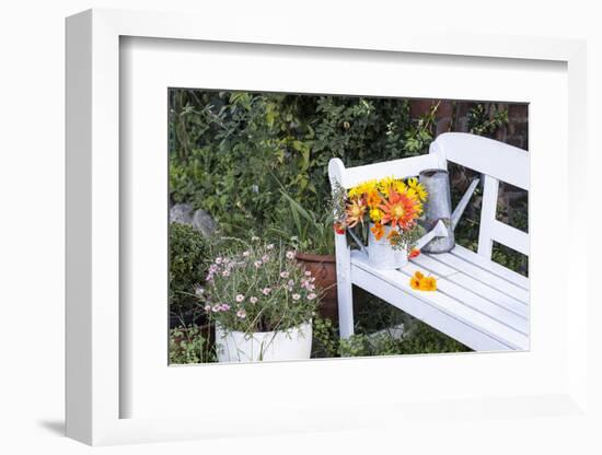 Autumn Flowers on Garden Bench-Andrea Haase-Framed Photographic Print