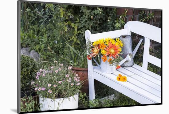 Autumn Flowers on Garden Bench-Andrea Haase-Mounted Photographic Print