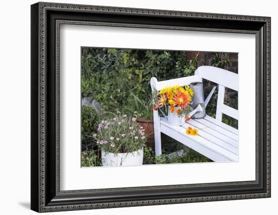 Autumn Flowers on Garden Bench-Andrea Haase-Framed Photographic Print