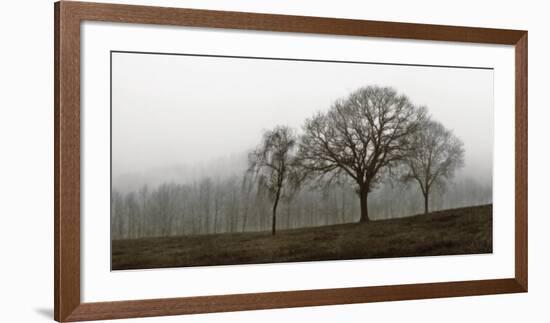 Autumn Fog-Ily Szilagyi-Framed Art Print