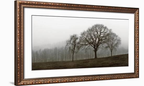 Autumn Fog-Ily Szilagyi-Framed Art Print