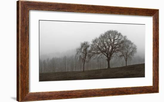 Autumn Fog-Ily Szilagyi-Framed Giclee Print