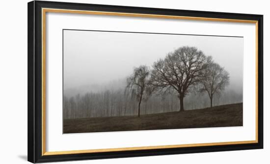 Autumn Fog-Ily Szilagyi-Framed Giclee Print