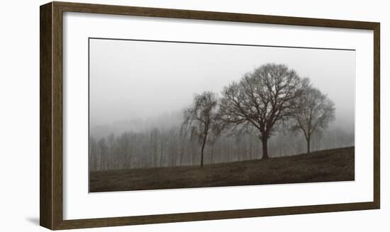 Autumn Fog-Ily Szilagyi-Framed Giclee Print