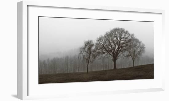 Autumn Fog-Ily Szilagyi-Framed Giclee Print