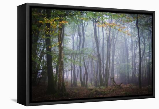 Autumn Foggy Forest Scene-Philippe Manguin-Framed Premier Image Canvas