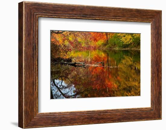 Autumn foliage along the Willimantic River, USA-Lynn M. Stone-Framed Photographic Print