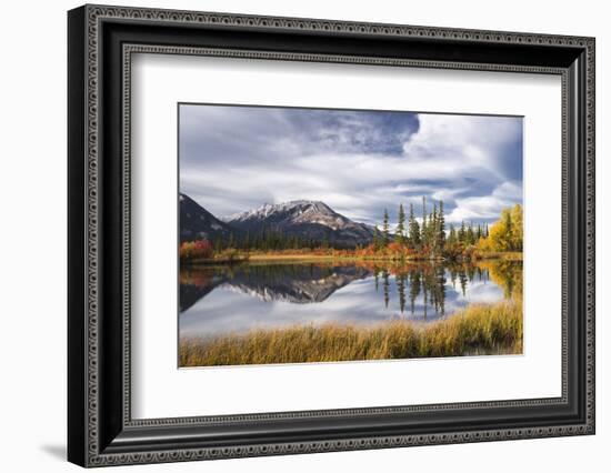 Autumn foliage and mountain lake, Jasper National Park, UNESCO World Heritage Site, Canadian Rockie-Jon Reaves-Framed Photographic Print