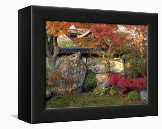 Autumn Foliage in Japanese Garden-null-Framed Premier Image Canvas