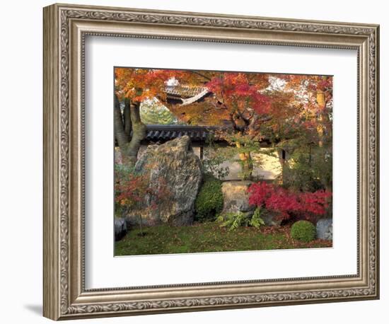 Autumn Foliage in Japanese Garden-null-Framed Photographic Print