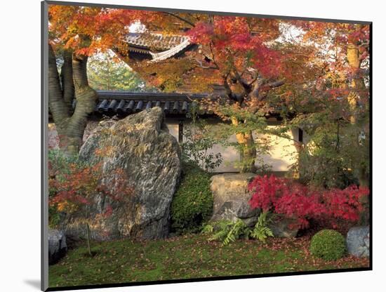 Autumn Foliage in Japanese Garden-null-Mounted Photographic Print