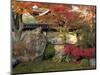 Autumn Foliage in Japanese Garden-null-Mounted Photographic Print