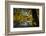 Autumn Foliage in the Lake-Falk Hermann-Framed Photographic Print