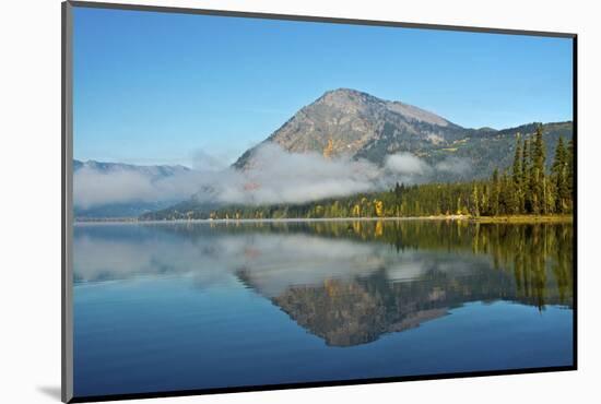 Autumn foliage, Lake Wenatchee, WA.-Michel Hersen-Mounted Photographic Print