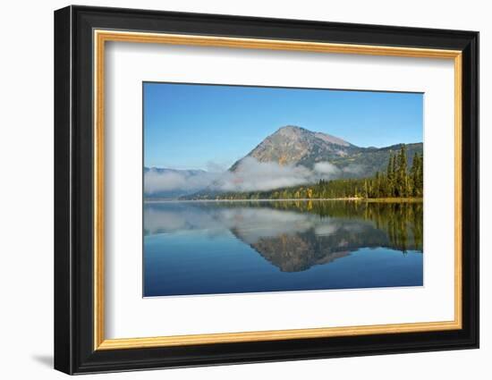 Autumn foliage, Lake Wenatchee, WA.-Michel Hersen-Framed Photographic Print