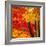 Autumn Foliage of Japanese Maple (Acer) Tree, England, Uk-Jon Arnold-Framed Photographic Print