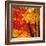 Autumn Foliage of Japanese Maple (Acer) Tree, England, Uk-Jon Arnold-Framed Photographic Print