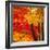 Autumn Foliage of Japanese Maple (Acer) Tree, England, Uk-Jon Arnold-Framed Photographic Print