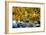 Autumn Foliage River Reflections-George Oze-Framed Photographic Print