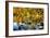 Autumn Foliage River Reflections-George Oze-Framed Photographic Print