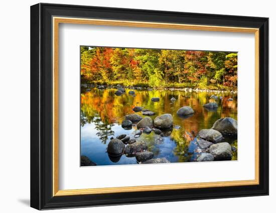 Autumn Foliage River Reflections-George Oze-Framed Photographic Print