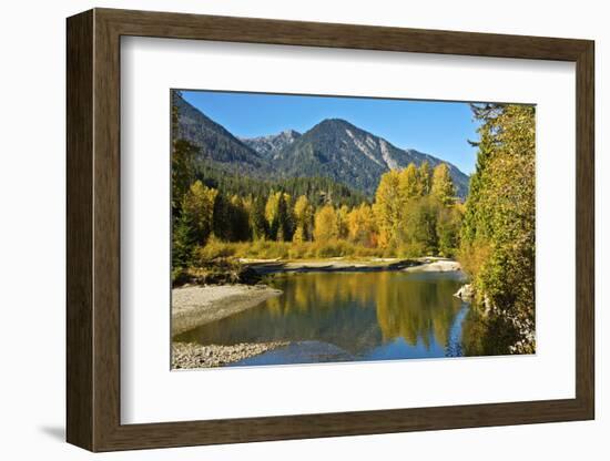 Autumn foliage, White River, Wenatchee National Forest, Washington State, USA-Michel Hersen-Framed Photographic Print