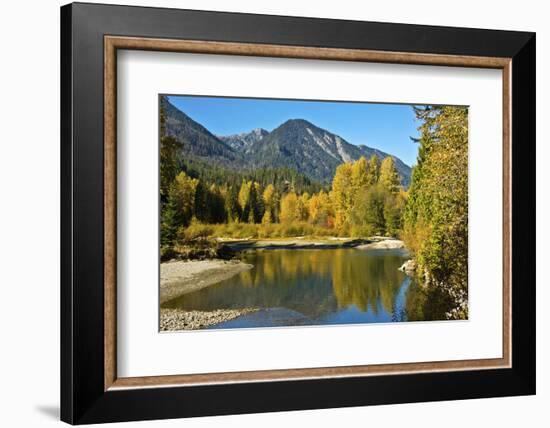 Autumn foliage, White River, Wenatchee National Forest, Washington State, USA-Michel Hersen-Framed Photographic Print