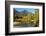 Autumn foliage, White River, Wenatchee National Forest, Washington State, USA-Michel Hersen-Framed Photographic Print