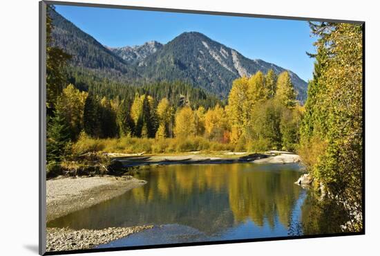 Autumn foliage, White River, Wenatchee National Forest, Washington State, USA-Michel Hersen-Mounted Photographic Print
