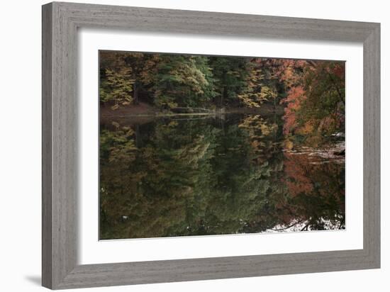 Autumn Foliage With Water Like Glass-Anthony Paladino-Framed Giclee Print