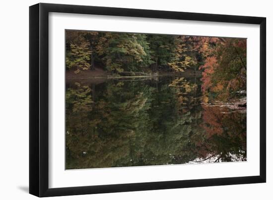 Autumn Foliage With Water Like Glass-Anthony Paladino-Framed Giclee Print