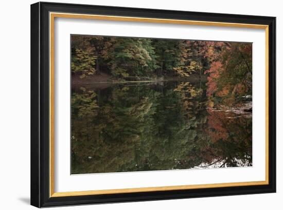 Autumn Foliage With Water Like Glass-Anthony Paladino-Framed Giclee Print
