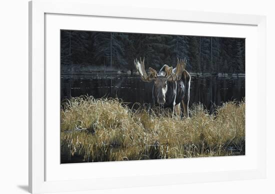 Autumn Foraging-Ron Parker-Framed Art Print