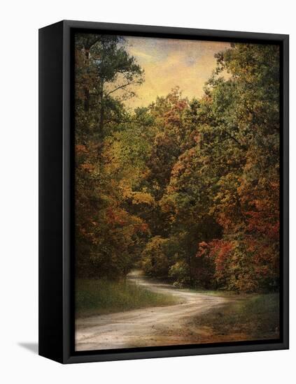 Autumn Forest 1-Jai Johnson-Framed Premier Image Canvas