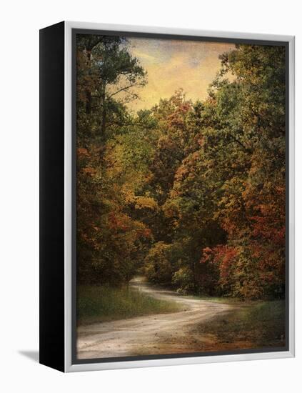 Autumn Forest 1-Jai Johnson-Framed Premier Image Canvas