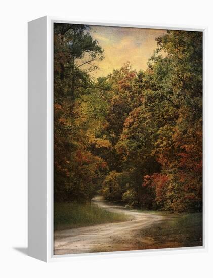 Autumn Forest 1-Jai Johnson-Framed Premier Image Canvas