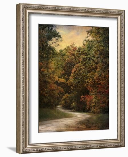 Autumn Forest 1-Jai Johnson-Framed Photographic Print