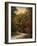 Autumn Forest 1-Jai Johnson-Framed Photographic Print