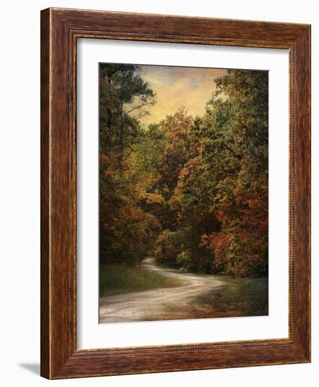 Autumn Forest 1-Jai Johnson-Framed Photographic Print