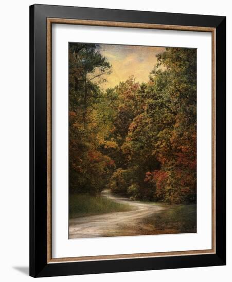 Autumn Forest 1-Jai Johnson-Framed Photographic Print