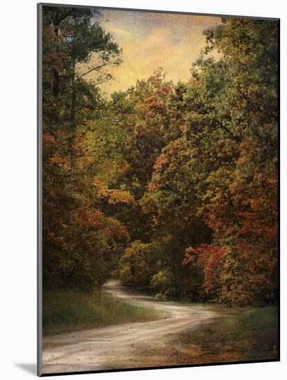 Autumn Forest 1-Jai Johnson-Mounted Photographic Print