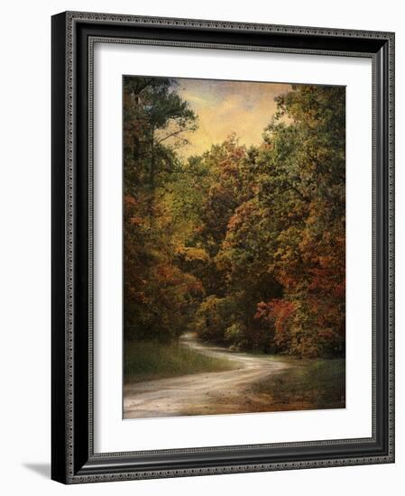 Autumn Forest 1-Jai Johnson-Framed Photographic Print