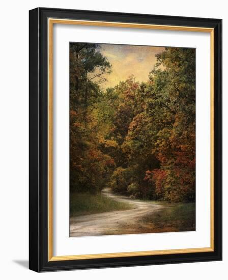 Autumn Forest 1-Jai Johnson-Framed Photographic Print