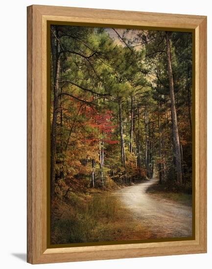 Autumn Forest 2-Jai Johnson-Framed Premier Image Canvas