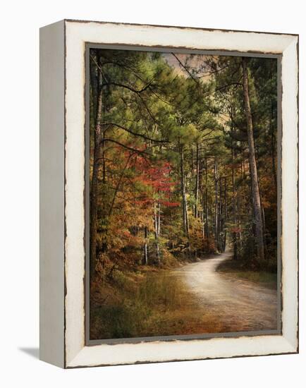 Autumn Forest 2-Jai Johnson-Framed Premier Image Canvas